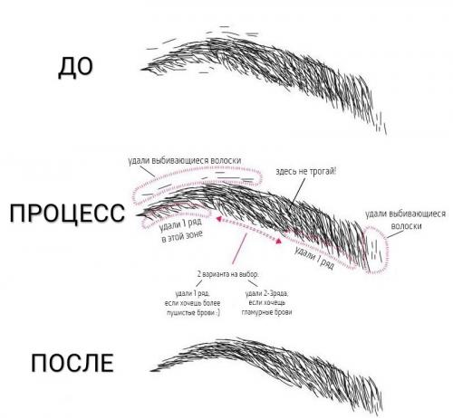 Идеальные брови схема